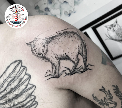 sheep tattoo